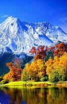 Без бренда «Осенний лес и вид на горы» в Перми