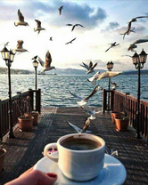 Без бренда «Кофе с видом на чаек» в Перми