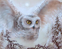 Без бренда «2KMB-3848» в Перми