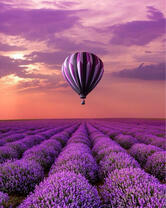 Без бренда «2KMB-4091» в Перми