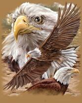 Без бренда «2KMB-4315» в Перми