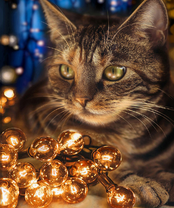 Без бренда «2KXSB-0678» в Перми