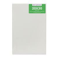 Без бренда «Холст Две картинки на подрамнике 20X30» в Перми в интернет-магазине  Без бренда «Холст Две картинки на подрамнике 20X30» в Перми