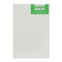 Без бренда «Коробка 80 шт.: Холст Две картинки на подрамнике 20X30» в Перми