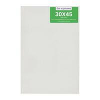 Без бренда «Коробка 40 шт.: Холст Две картинки на подрамнике 30X45» в Перми