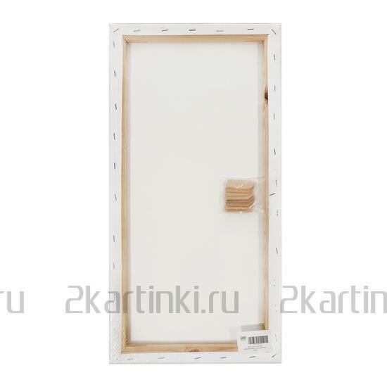Тип товара Коробка 20 шт.: Холст Две картинки на подрамнике 30X60
