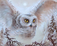 Без бренда «Полярная сова над лесом (20шт)» в Перми