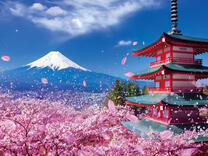 Без бренда «BOX20-2KSB-7277» в Перми