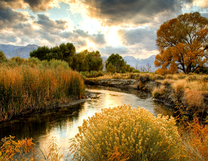 Без бренда «BOX25-GX29355» в Перми