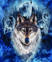 Без бренда «BOX40-2KXSB-0687» в Перми