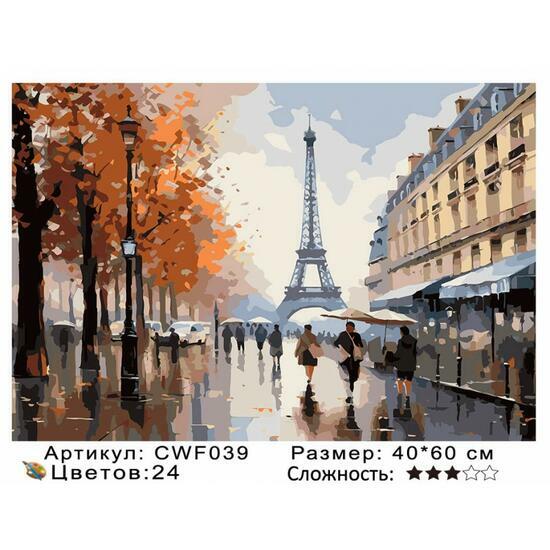 Картина по номерам 40x60 CWF039