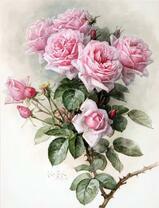 Трудолюбивые пчелки над розами