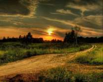 Без бренда «Проселочная дорога на закате» в Перми