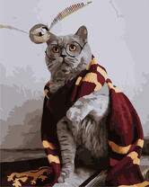 Кот ловит снитч