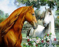 Картина по номерам «Белая и рыжая лошади в загонах»