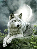 Без бренда «Коробка 25 шт. картин по номерам BOX25-GX21058» в Перми