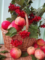 Без бренда «Коробка 25 шт. картин по номерам BOX25-GX5174» в Перми