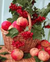 Без бренда «Плетёная корзина с калиной и яблоками» в Перми в интернет-магазине  Без бренда «Плетёная корзина с калиной и яблоками» в Перми