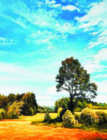 Без бренда «Осенний пейзаж с голубым небом» в Перми