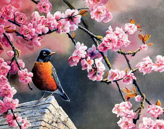 Картина по номерам 40x50 Цветущая сакура и птичка