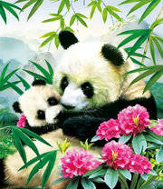 Мама панда и ее малыш среди цветов